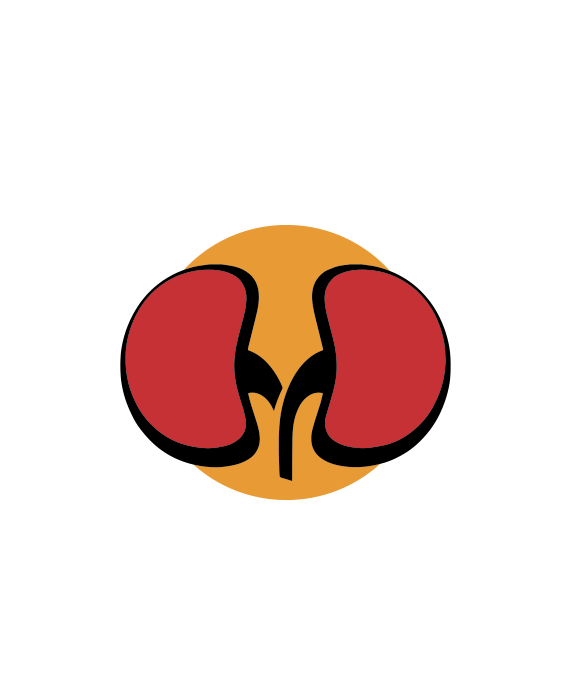 Graphic of kidneys on a red background